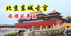 黄色网站在线插女中国北京-东城古宫旅游风景区